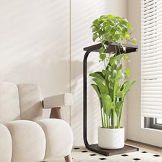 a potted plant sitting on top of a table next to a white couch in a living room