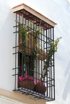 a caged window with potted plants in it