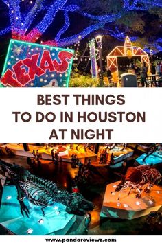 the best things to do in houston at night