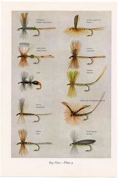 an image of different types of fishing flies