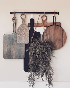 three cutting boards hanging on a wall next to a potted plant and knifes