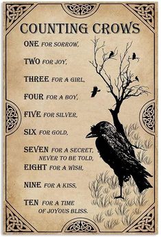 One For Sorrow, Xmas Art, Counting Crows, Witchcraft Spell Books, Witch Spell Book, Witch Books, Witch Spell, Spells Witchcraft