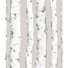 white birch trees are lined up against a gray background with the same pattern as the wallpaper