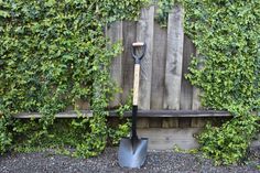 there is a shovel in the gravel next to a wooden fence with ivy growing on it