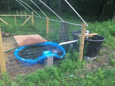 an animal pen with a plastic pool in the middle and a trash can next to it