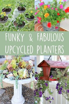 several different pictures of plants and flowers in pots on a table with text overlay that says funky & fabulous upcycled planters