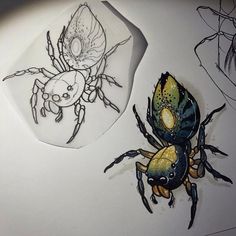 two drawings of bugs and spider on a white surface with one drawing in the background