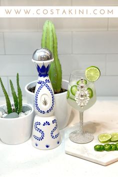 an assortment of decorative items on a kitchen counter with cacti and succulents