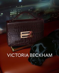 The constant companion. Discover the #VBDorian exclusively at VictoriaBeckham.com and at 36 Dover Street. * Generated with AI Dover Man, Man And Dog, Dog Car