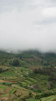 an aerial view of a lush green valley with fields and mountains in the distance, surrounded by low lying clouds