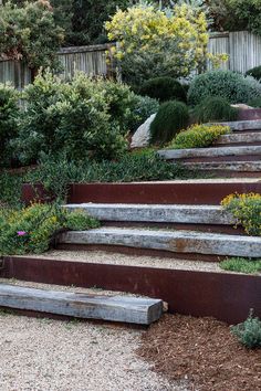 the steps are made out of concrete and have plants growing on them