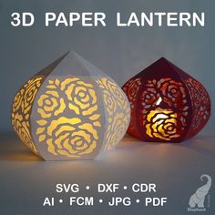 three paper lanterns with roses on them and the words 3d paper lanterner above it