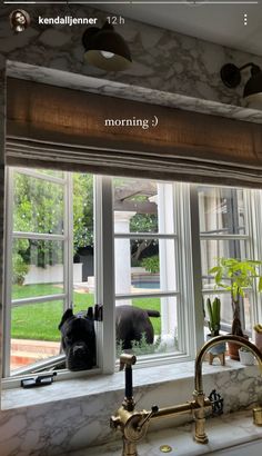 a kitchen window with the words morning written on it and an elephant in the background