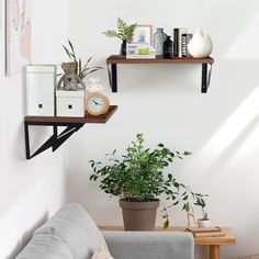 a living room filled with furniture and plants on top of shelves above the couches