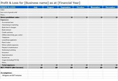 a spreadsheet showing the business financial year in one column, and an image of a