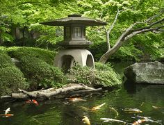 a pond with many koi fish in it and a small pagoda above the water