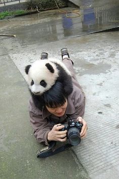 a man holding a camera in front of a panda bear on top of a skateboard