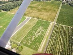 an aerial view of a large field with trees and buildings in the distance, taken from a plane