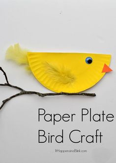 a paper plate bird craft on a branch