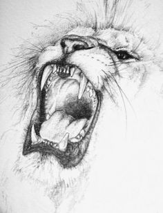 a drawing of a lion's head with its mouth open