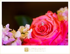 a pink rose with a diamond ring sitting on it's center surrounded by white and pink flowers