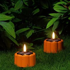 two orange candles sitting on top of green grass