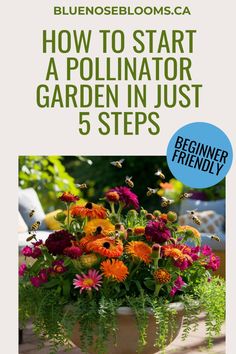 a potted plant with flowers in it and the title how to start a pollinator garden just 5 steps