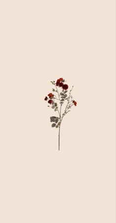 a single red flower is in the middle of a white background with no one around it