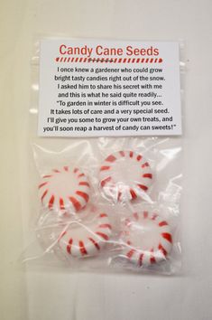 candy cane seeds in cello bag on white surface with information about the product and description