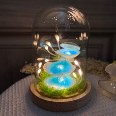 there is a glass dome with lights in it on top of a wooden stand next to shells and seashells