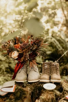 two pairs of shoes sitting on top of a tree stump