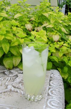 a tall glass filled with green liquid sitting on top of a stone table next to plants