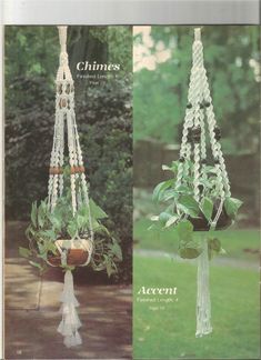 two pictures of macrame plant hangers with plants in them