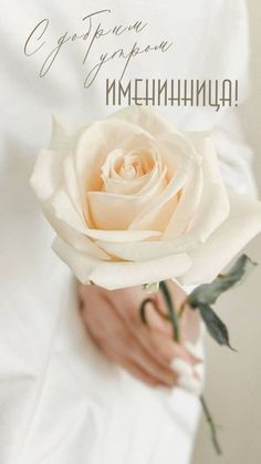 a woman holding a white rose in her hands with the words congratulations written on it