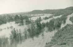 an aerial view of flood waters and trees