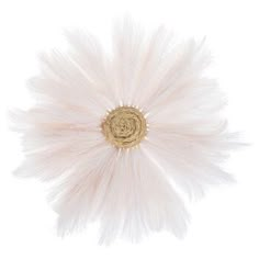 a white feather flower on a white background