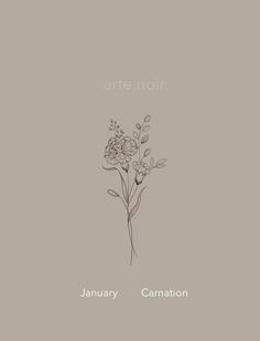 the cover art for january and carnation by artenoir, featuring an image of flowers