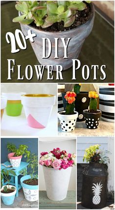 some potted plants and flowers with the words 10 diy flower pots