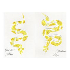 two drawings of yellow snakes on white paper, one with the letter s in it's center