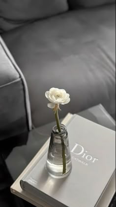 a flower in a glass vase on top of a book next to a leather couch