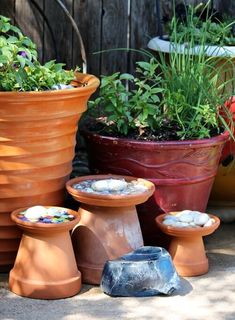 several pots with plants and rocks in them