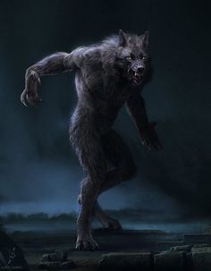 an image of a furry creature in the dark