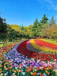 colorful flower garden with trees and blue sky in the background