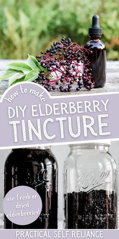 the cover of how to make diy elderberry tincture by practical self reliance