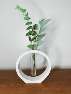 a plant in a glass vase on a wooden table with a white ring around it