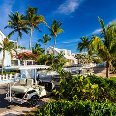 a golf cart parked on the side of a road next to palm trees and buildings