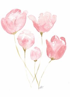 three pink flowers are shown in this watercolor painting style, with the petals slightly open