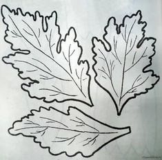 a drawing of some leaves on a piece of paper