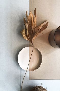 a vase with some leaves on it next to a plate and a plant in a vase