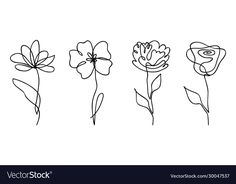 four flowers line drawing on white background